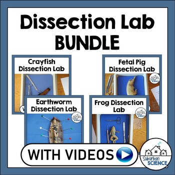 Preview of Biology Dissection Lab Bundle: Fetal Pig, Frog, Crayfish, Earthworm Dissections