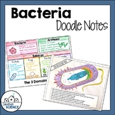 Biology Domains and Kingdoms Doodle Notes- Bacteria and Pr