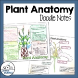 Biology Domains and Kingdoms Doodle Notes- Plant and Flowe