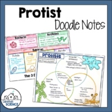 Biology Domains and Kingdoms Doodle Notes- Protists