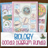 Biology Doodle Diagram Notes Bundle Great for Distance Learning