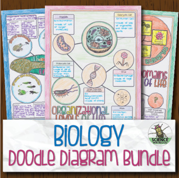 Biology Doodle Diagram Notes Bundle