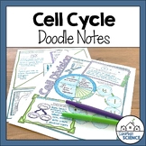 Biology Doodle Notes- Cell Cycle, Mitosis, Cancer, Cell Di