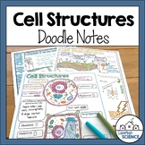 Cell Organelles Doodle Notes - Plant and Animal Cells Diagrams