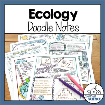 Preview of Biology Doodle Notes- Food Webs, Nutrient Cycles, Biodiversity & Succession