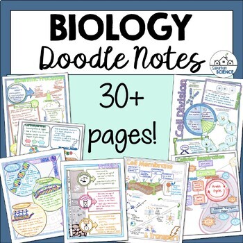 Preview of Biology Doodle Notes & Graphic Organizers- Cells, Genetics, Evolution, Ecology