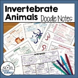 Invertebrates Graphic Organizers or Interactive Notes
