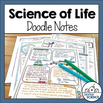 Preview of Biology Doodle Notes - Macromolecules, Enzymes, Water Properties, and Atoms