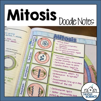 Preview of Biology Doodle Notes - Cell Cycle Doodle Notes - Mitosis Doodle Notes