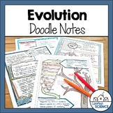 Biology Doodle Notes- Natural Selection, Hardy-Weinberg, P