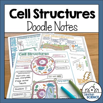 Preview of Biology Doodle Notes- Plant Cell and Animal Cell Structure, Cell Transport