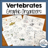 Vertebrates Graphic Organizers - Vertebrate Animals Illust