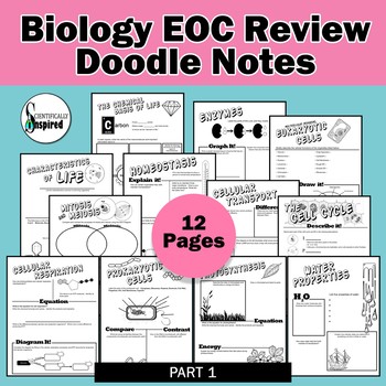 Preview of Biology EOC Doodle Notes Final Review - Part 1 Editable | End of Course