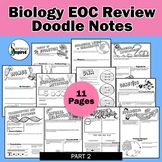 Biology EOC Doodle Notes Final Review -  Part 2 Editable