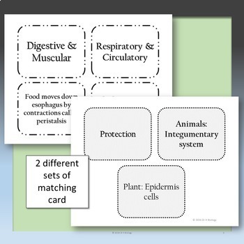 Biology STAAR Review - Biological Processes & Systems by DrH Biology