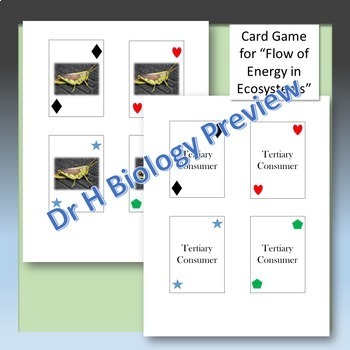 Biology STAAR Review - Ecology and Energy Flow by DrH ...
