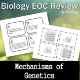 Biology STAAR Review - Mechanisms of Genetics