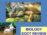 Biology EOCT Review