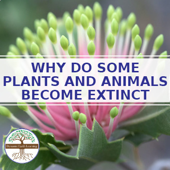 Why Do Some Plants And Animals Become Extinct? - Biology Worksheet (Google,  PDF)