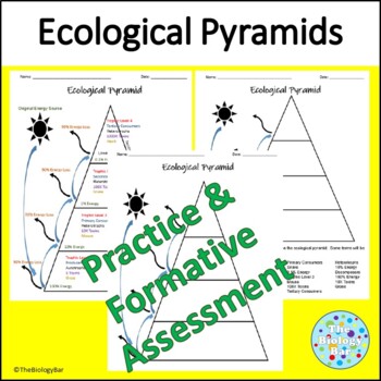 Preview of Biology Ecological Energy Pyramid  