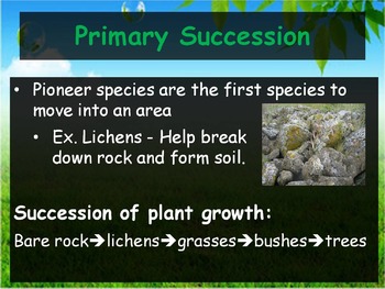 pioneer species biology