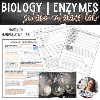 Preview of Biology | Enzyme Introduction - Potato Catalase Lab - EDITABLE