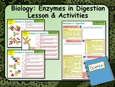 Biology:  Enzymes in Digestion Lesson & Activities