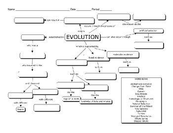 Preview of Biology: Evolution Concept Map Graphic Organizer
