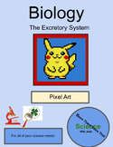 Biology: Excretory System Mystery Pixel