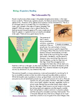 Preview of Biology Expository Reading: The Common Fly