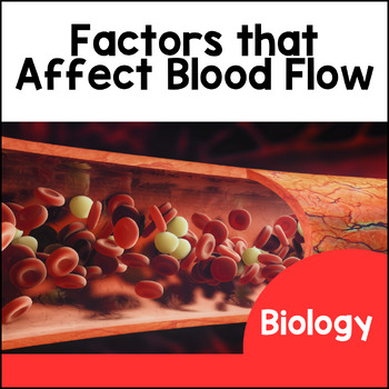 Preview of Biology - Factors that Affect Blood Flow, Notes, Assessment, Worksheets