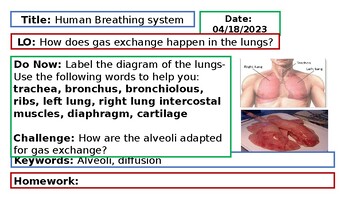 Preview of Grade 10/iGCSE Biology: Respiratory system (7 lessons)