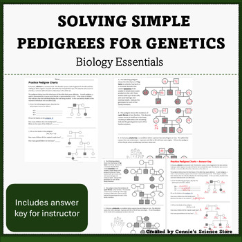 Preview of Biology - Genetics - Pedigree Worksheet with Answer Key