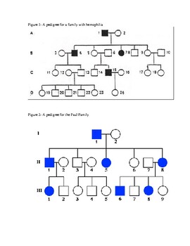 Understanding Pedigrees