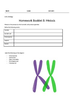 biology homework meiosis