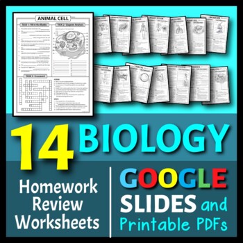 Preview of Biology Homework Review Worksheets/Test Prep BUNDLE | Print & Google Slides