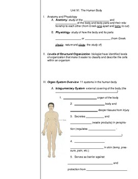 Preview of Biology: Human Physiology Overview Guided Notes