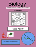 Biology: I SPY Invertebrates and their Characteristics