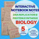 Biology Interactive Notebook - DNA Replication  & Protein 