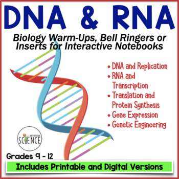 Preview of DNA RNA Protein Synthesis Bell Ringers Replication Transcription Translation