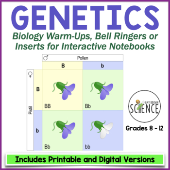 Preview of Genetics and Punnett Squares Activity Biology Bell Ringers and Warm Ups