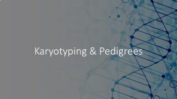 Preview of Biology: Karyotyping and Pedigree PowerPoint Presentation