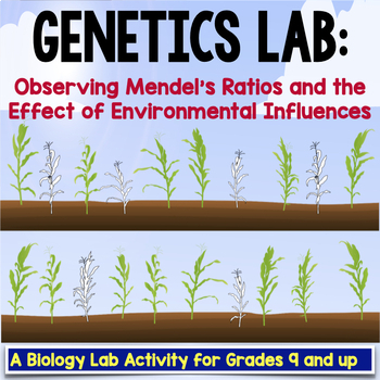 Preview of Genetics Lab Mendel's Ratios and the Effect of the Environment