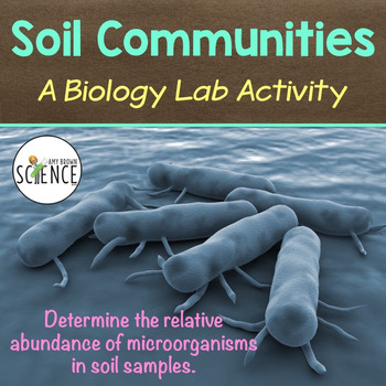 Preview of Biology Lab Soil Communities - Microorganisms in Soil