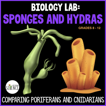 Sponges And Hydras Porifera And Cnidaria Lab By Amy Brown Science