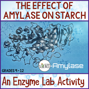Biology Lab: The Effect of the Enzyme Amylase on Starch by Amy Brown