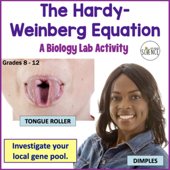 Preview of Hardy Weinberg Population Genetics Lab