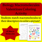 Biology Macromolecules Valentines Coloring Activity
