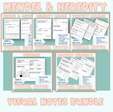 Biology | Mendel and Heredity Visual Notes Bundle