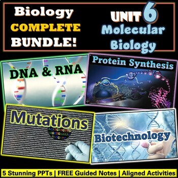 Preview of DNA vs RNA, Protein Synthesis, Mutations, Biotechnology Complete Unit BUNDLE NEW